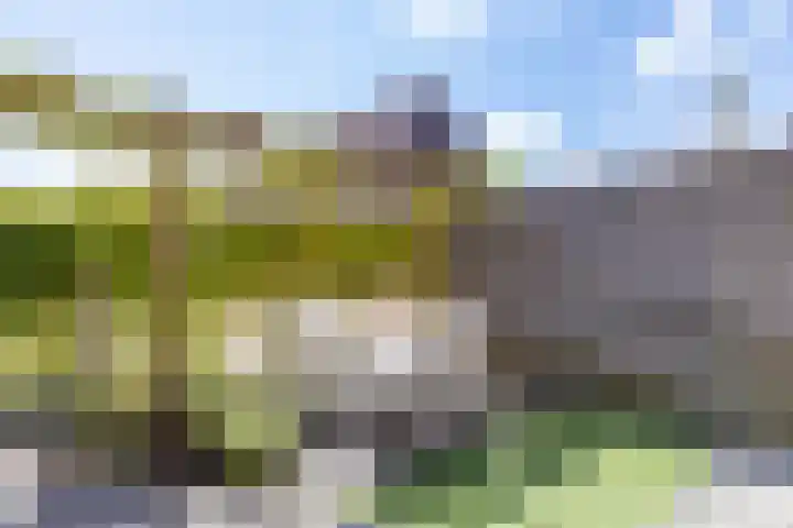 Piet Fransenlaan 89 Groningen thumbnail 41