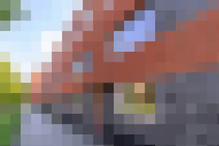 Piet Fransenlaan 89 Groningen thumbnail 46