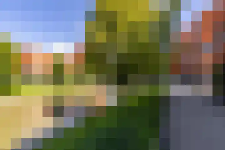Piet Fransenlaan 89 Groningen thumbnail 49