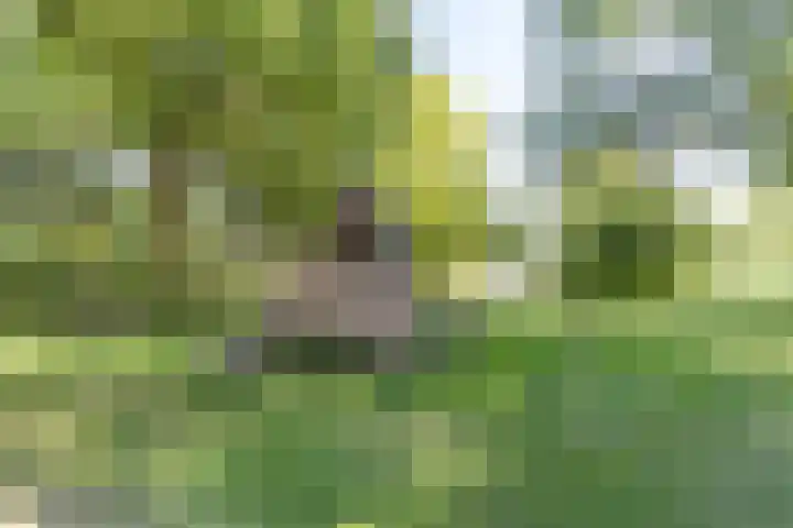 Piet Fransenlaan 89 Groningen thumbnail 53
