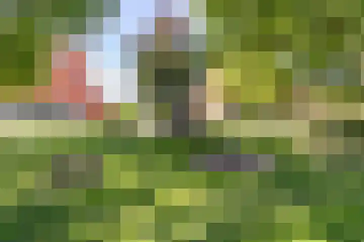 Piet Fransenlaan 89 Groningen thumbnail 54