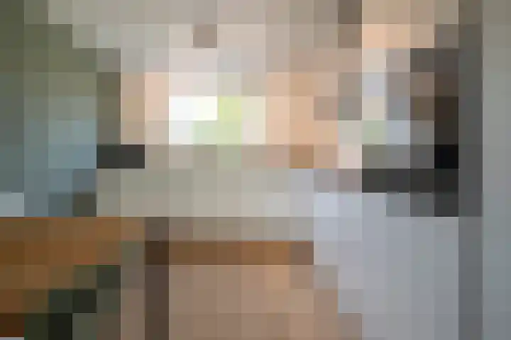 Piet Fransenlaan 93 Groningen thumbnail 19