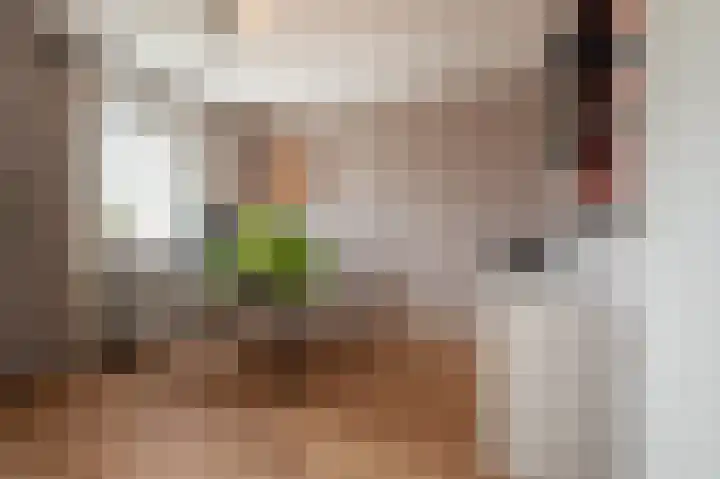 Piet Fransenlaan 93 Groningen thumbnail 32