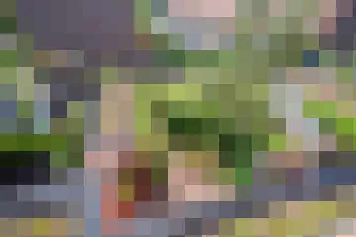 Piet Fransenlaan 93 Groningen thumbnail 34
