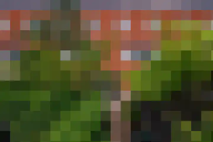 Piet Fransenlaan 93 Groningen thumbnail 37