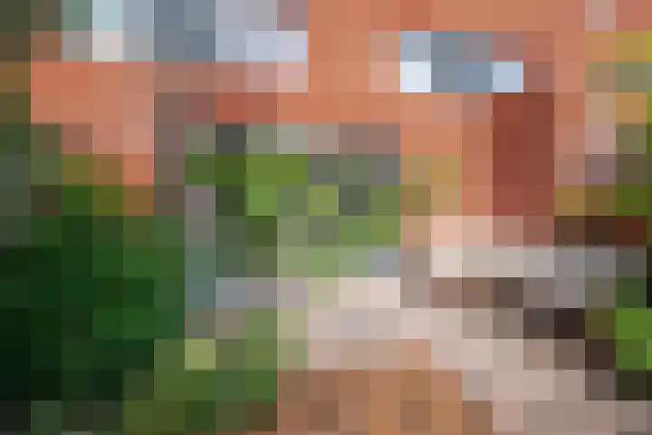 Piet Fransenlaan 93 Groningen thumbnail 40