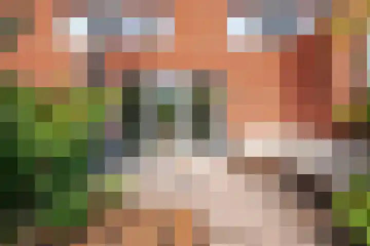Piet Fransenlaan 93 Groningen thumbnail 41