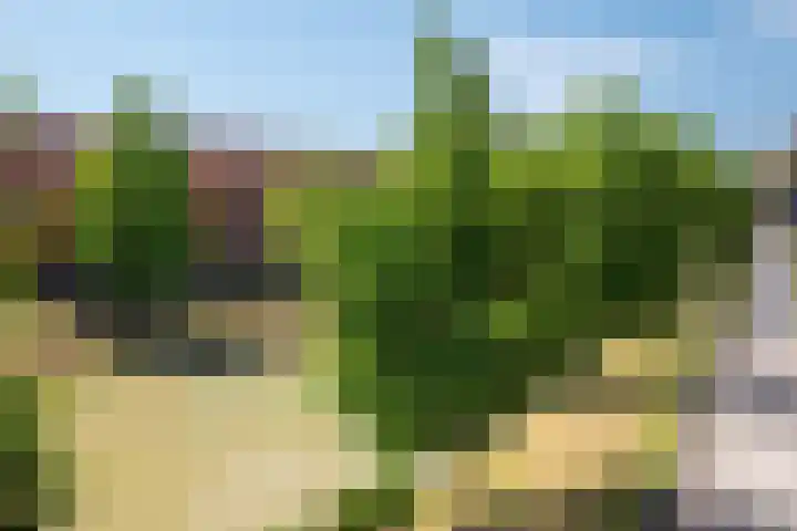 Piet Fransenlaan 93 Groningen thumbnail 7