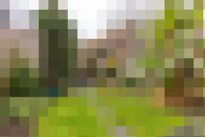Piet Fransenlaan 99 Groningen thumbnail 38