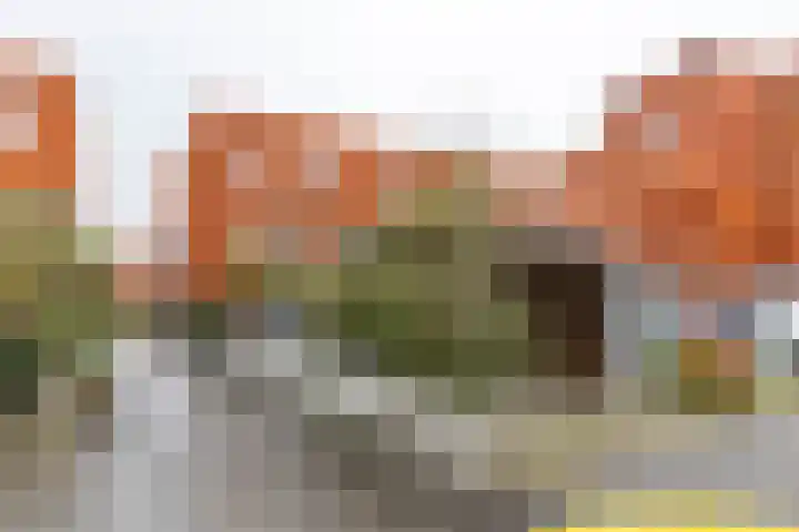 Piet Fransenlaan 99 Groningen thumbnail 40