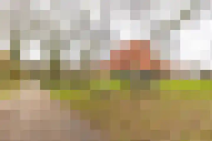 Piet Fransenlaan 99 Groningen thumbnail 43