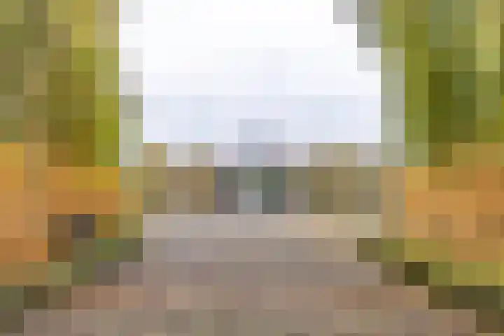 Piet Fransenlaan 99 Groningen thumbnail 44