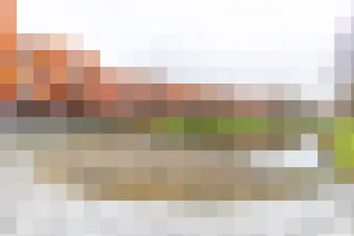 Piet Fransenlaan 99 Groningen thumbnail 45