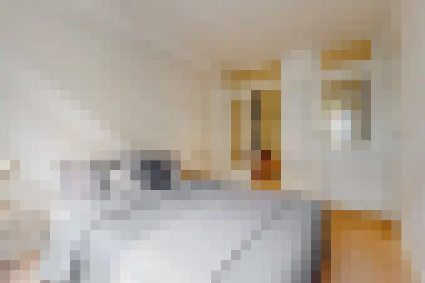 Piet Gijzenbrugstraat 10 2 Amsterdam thumbnail 18