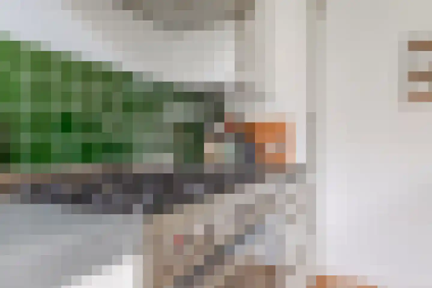 Piet Gijzenbrugstraat 18 2 Amsterdam thumbnail 19