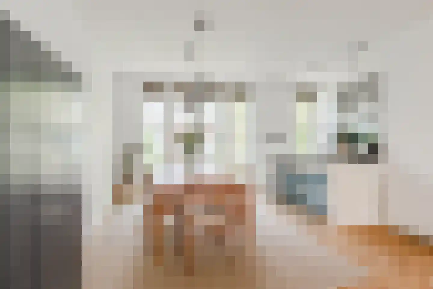 Piet Gijzenbrugstraat 18 2 Amsterdam thumbnail 9