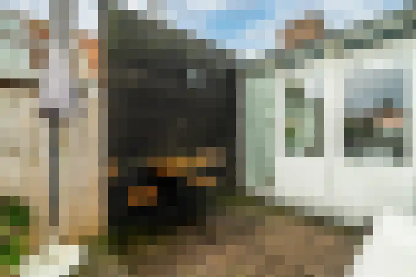 Piet Gijzenbrugstraat 39 2 Amsterdam thumbnail 12