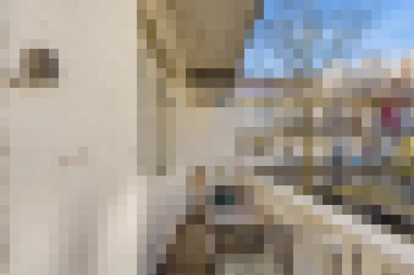 Piet Gijzenbrugstraat 40 1 Amsterdam thumbnail 17