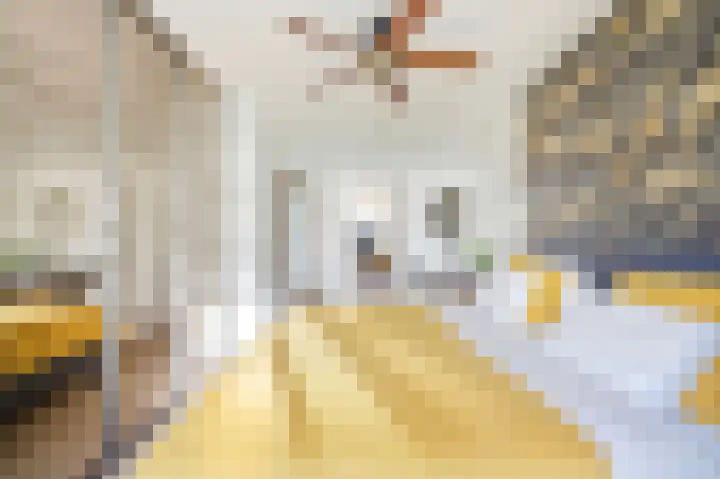 Piet Gijzenbrugstraat 40 1 Amsterdam thumbnail 19