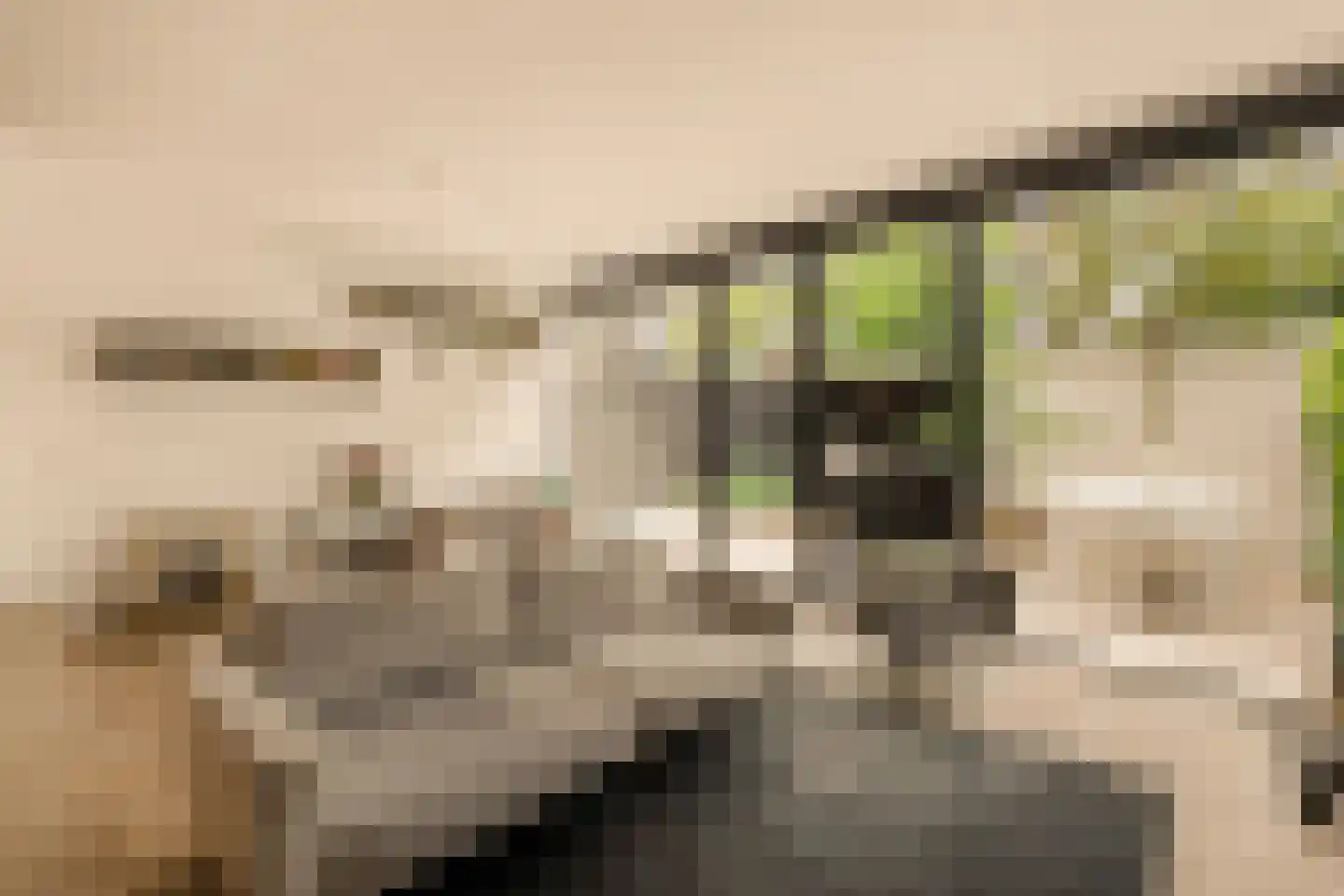 Piet Gijzenbrugstraat 42 H Amsterdam thumbnail 14