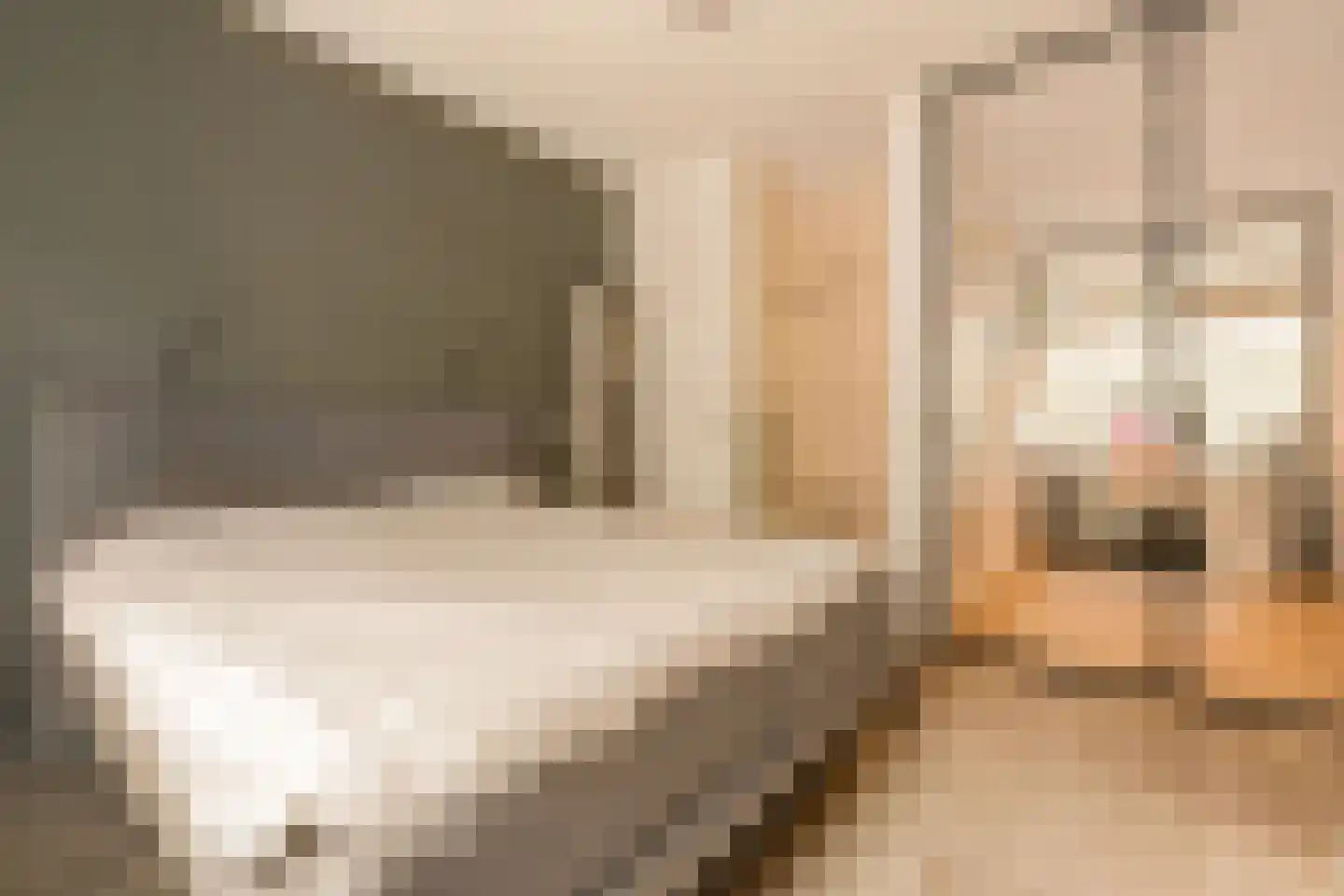 Piet Gijzenbrugstraat 42 H Amsterdam thumbnail 19