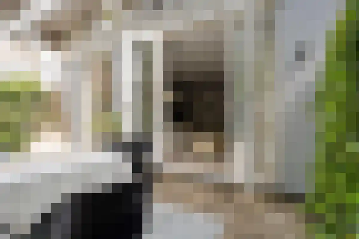 Piet Gijzenbrugstraat 6 Amsterdam thumbnail 6