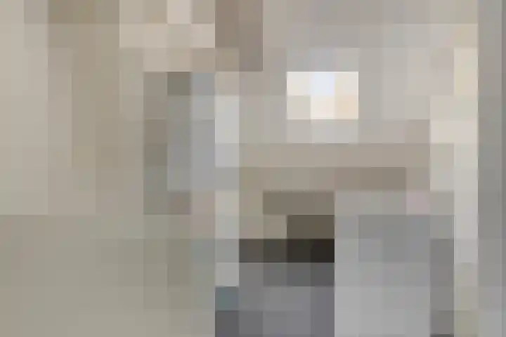 Piet Heijnstraat 10 Roosendaal thumbnail 22