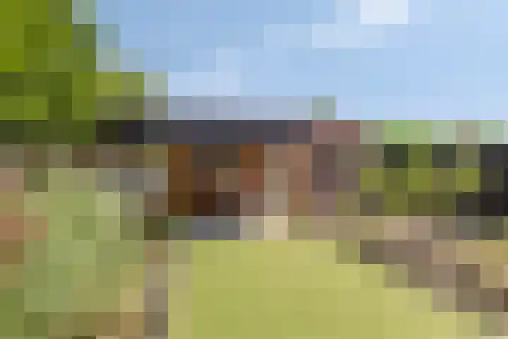 Piet Heijnstraat 10 Roosendaal thumbnail 25