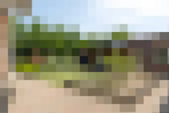 Piet Heijnstraat 10 Roosendaal thumbnail 26