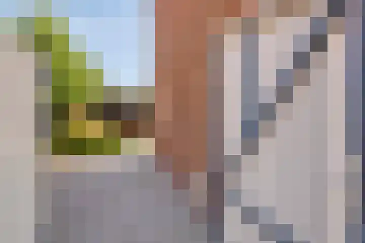 Piet Heijnstraat 10 Roosendaal thumbnail 36
