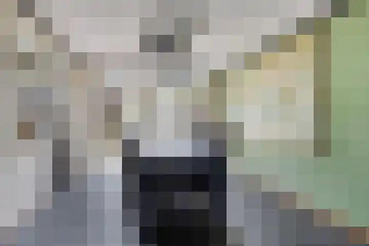 Piet Heijnstraat 10 Roosendaal thumbnail 5