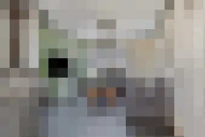 Piet Heijnstraat 10 Roosendaal thumbnail 6