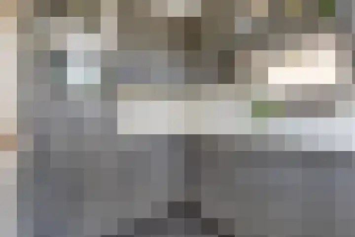 Piet Heijnstraat 10 Roosendaal thumbnail 8