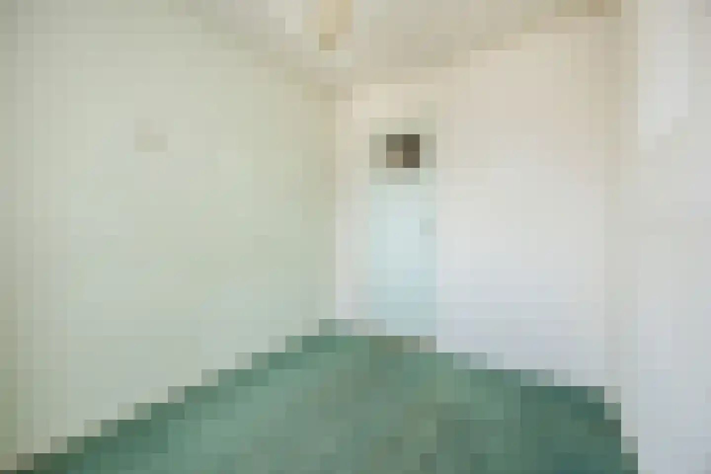 Piet Heijnstraat 18 Roosendaal thumbnail 34