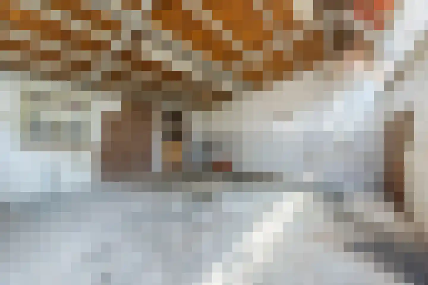 Piet Heijnstraat 18 Roosendaal thumbnail 51