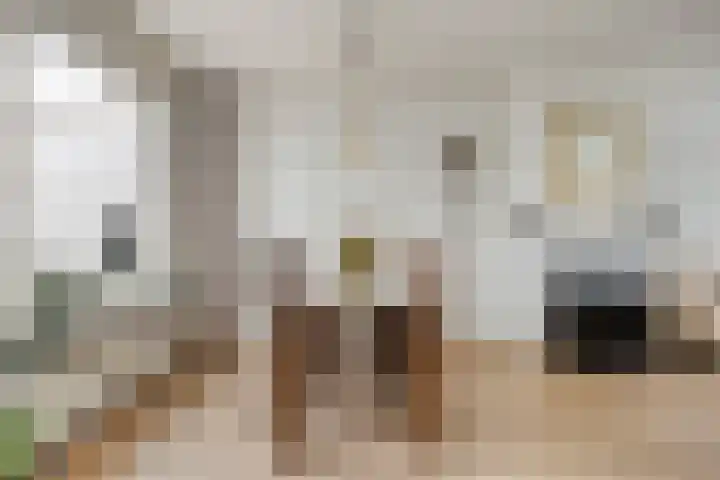 Piet Heinlaan 17 Son en Breugel thumbnail 10