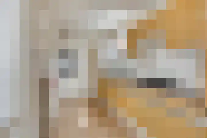 Piet Heinlaan 17 Son en Breugel thumbnail 13