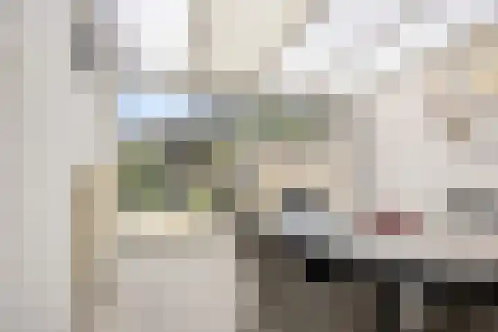 Piet Heinlaan 17 Son en Breugel thumbnail 15