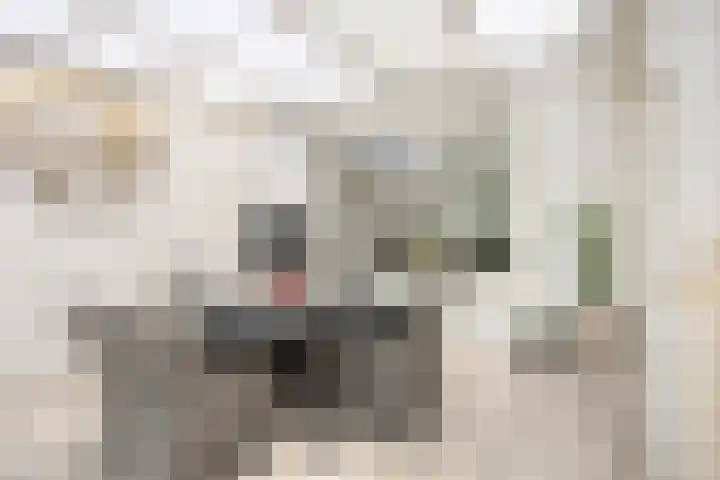 Piet Heinlaan 17 Son en Breugel thumbnail 16
