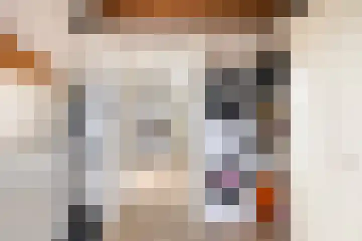 Piet Heinlaan 17 Son en Breugel thumbnail 17