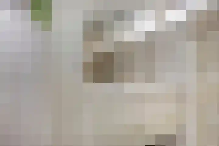 Piet Heinlaan 17 Son en Breugel thumbnail 28
