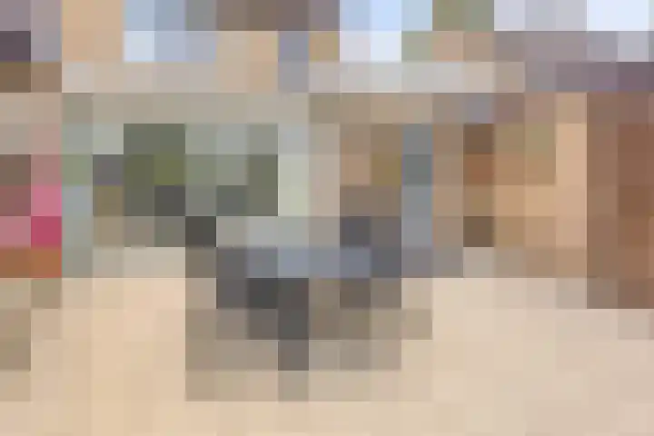 Piet Heinlaan 17 Son en Breugel thumbnail 34