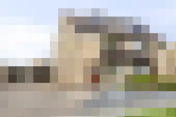 Piet Heinlaan 17 Son en Breugel thumbnail 37