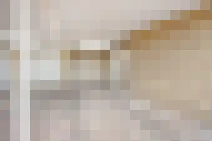 Piet Heinlaan 17 Son en Breugel thumbnail 40