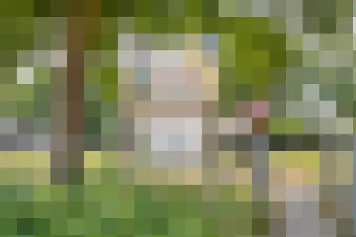 Piet Heinlaan 17 Son en Breugel thumbnail 41