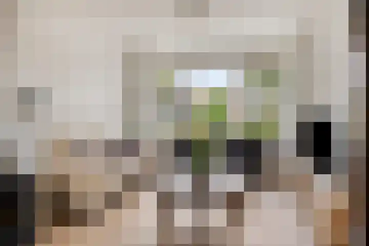 Piet Heinlaan 17 Son en Breugel thumbnail 5