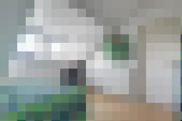 Piet Heinlaan 2 Baarn thumbnail 18