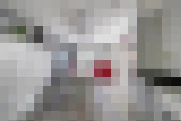 Piet Heinlaan 2 Baarn thumbnail 22