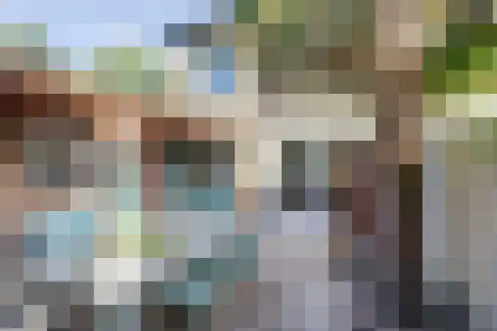 Piet Heinlaan 2 Baarn thumbnail 23