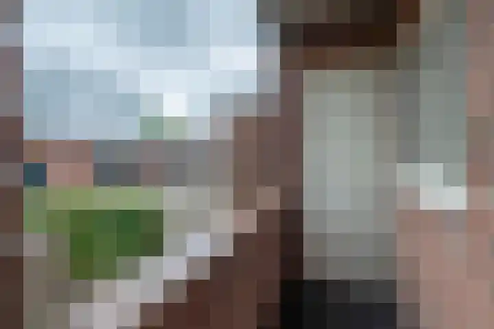 Piet Heinlaan 2 Bussum thumbnail 14